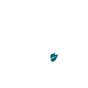 golsamsepahan